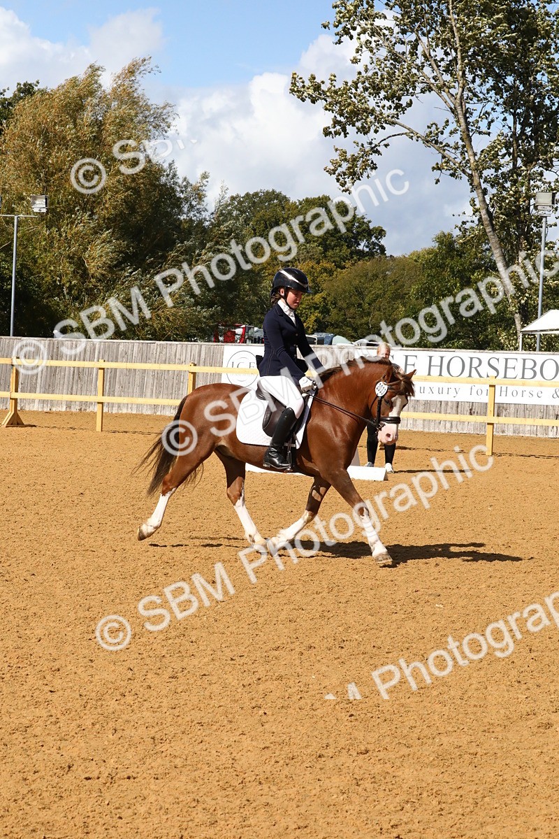 SBM_23499 - D5 - Small Tour Championshop Intro 2