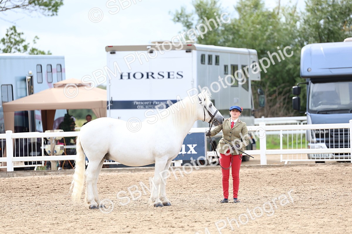 SBM_05829 - Class 29 - IH Veteran Pony