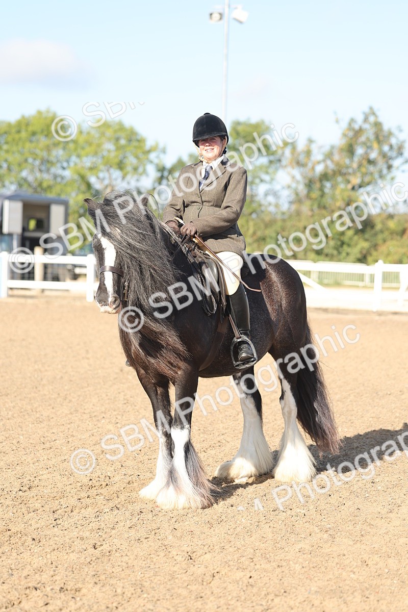 SBM_22220 - Class 802 - Ridden Groom Helpers Class