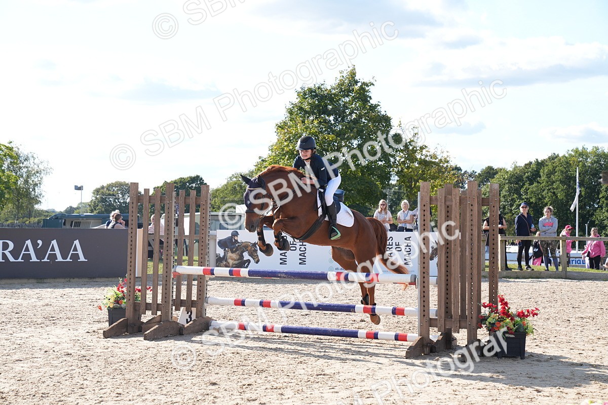 SBM_26105 - J61 - Clear Round 75cm & 85cm