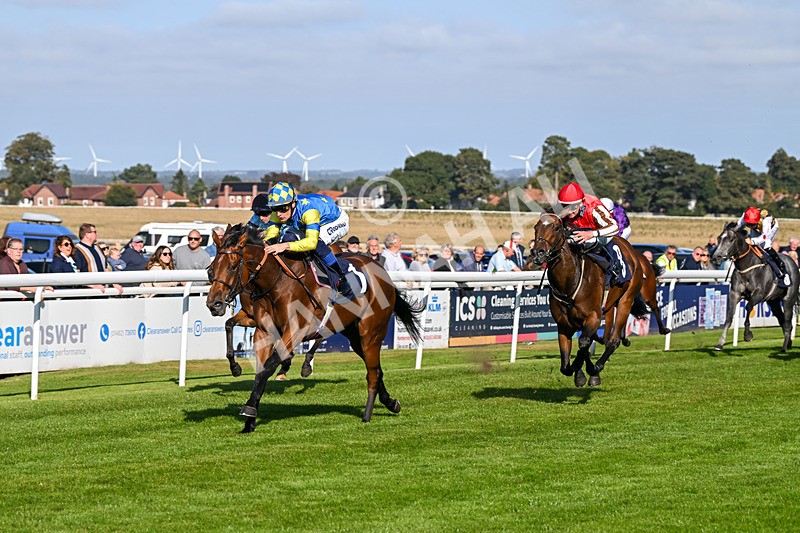 180924-Race 5-Blue Zodiac-4799 - Race 5