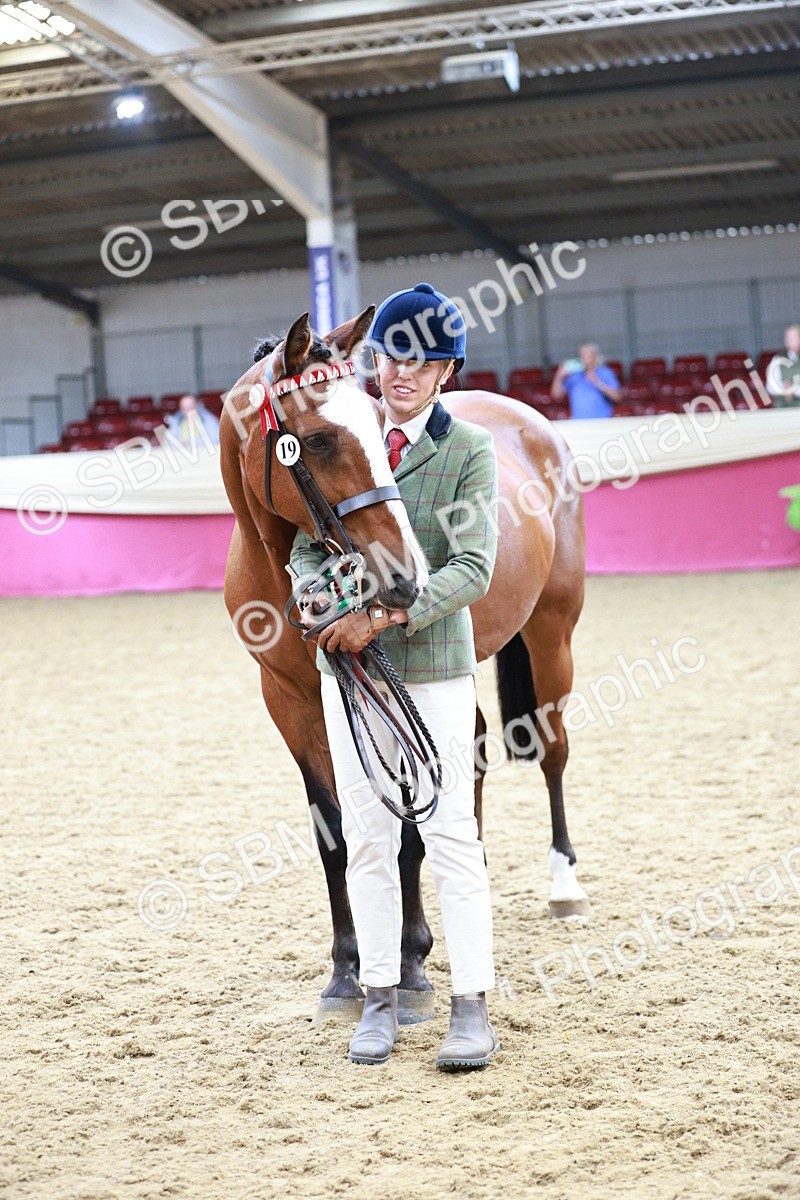 SBM_01335 - Class 3A - Area IH Pre-Vet