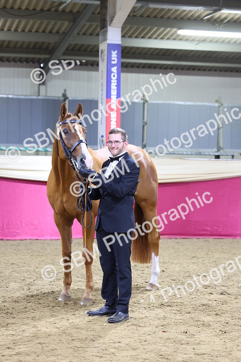 SBM_19180 - Class I Competition/ Riding Club Champ