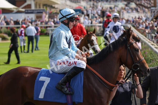 yr05092021r1-9 - Race 1 2.10pm IRE-Incentive It Pays To Buy Irish ebfstallions.com Novice Stakes