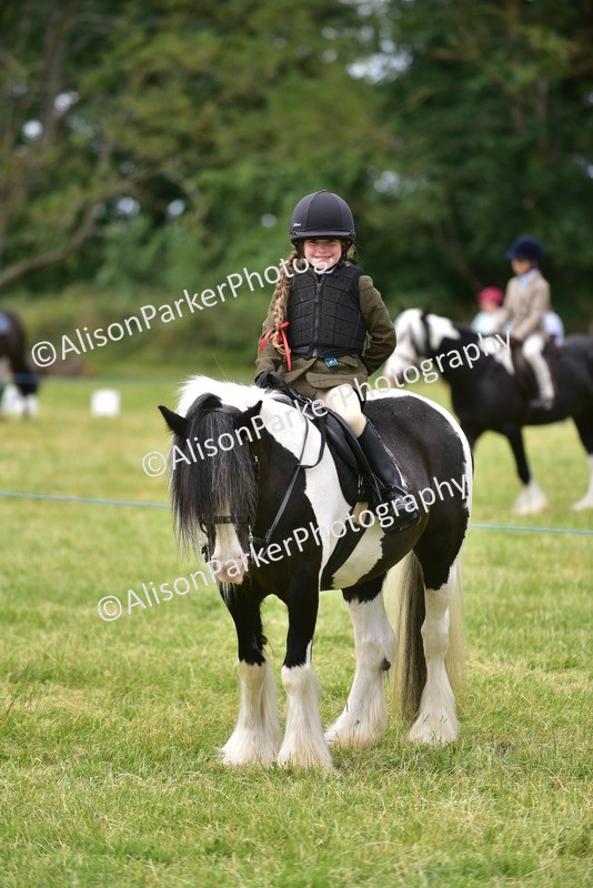 20260614-3687 - Class 15 - Prettiest Mare