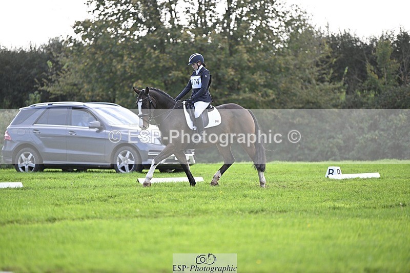 241025-120437-07010 - 374-Bella.Balian-BEECHWOOD.JOEY