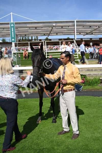 yr09072022r6-36 - Race 6 4.40pm John Smith's City Walls Stakes