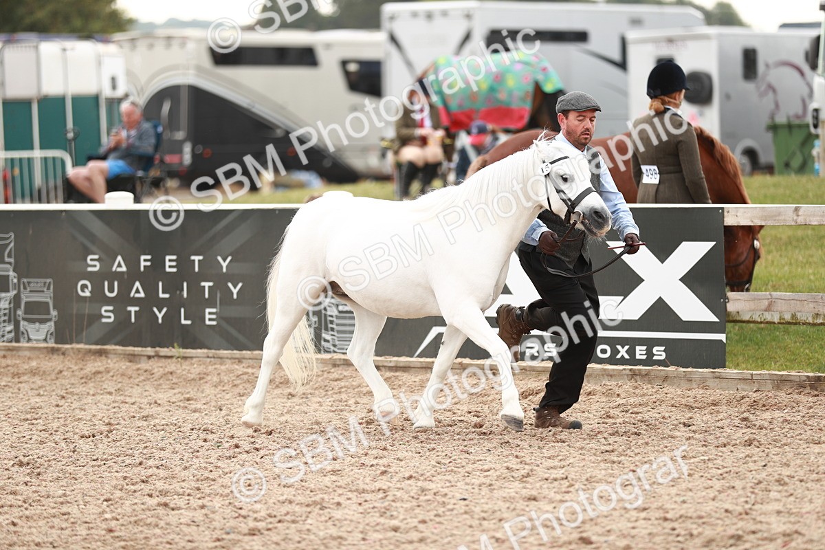 SBM_12467 - Class 207 IH M&M