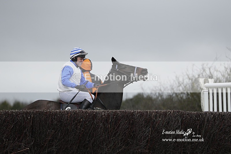 PtP 260323 0693 - New Forest Hounds Point-to-Point Larkhill 26/03/23