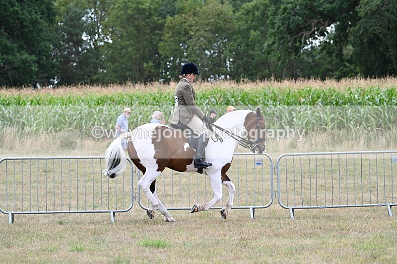 WJ7_5229 - Class 12 Ridden Cob