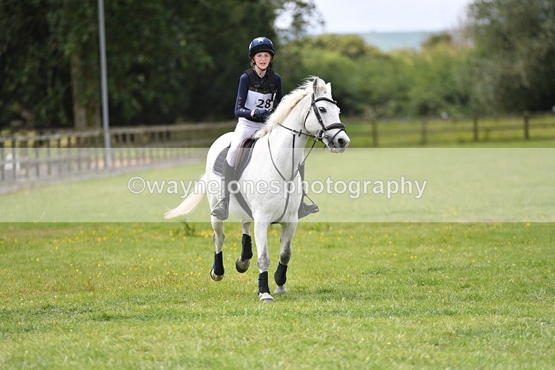 WJ5_3118 - Class 4 60cm