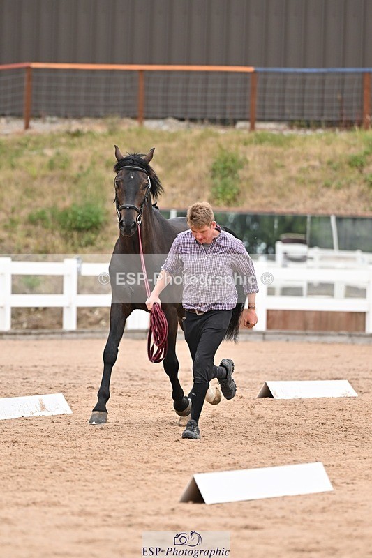 250716-160347-02376 - Trot Up 3.30 to 4.30