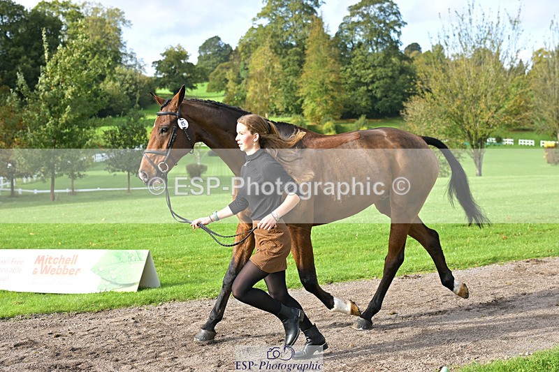 241023-132245-00250 - 015-Katie.Corbin-SPORTSFIELD.U2