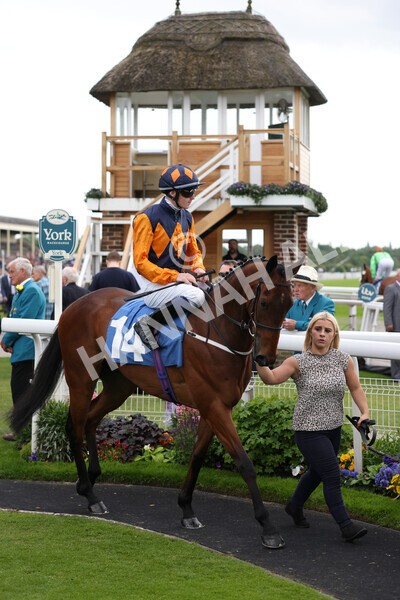 yr10062022r5-13 - Race 5 4.05pm Irish Thoroughbred Marketing Stakes