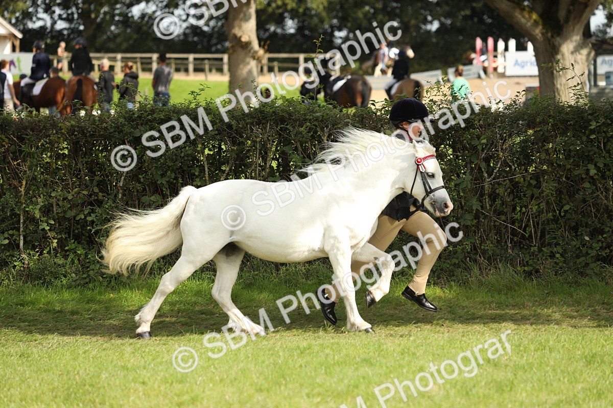 SBM_68563 - S40 - Junior Handler 9-12 Years
