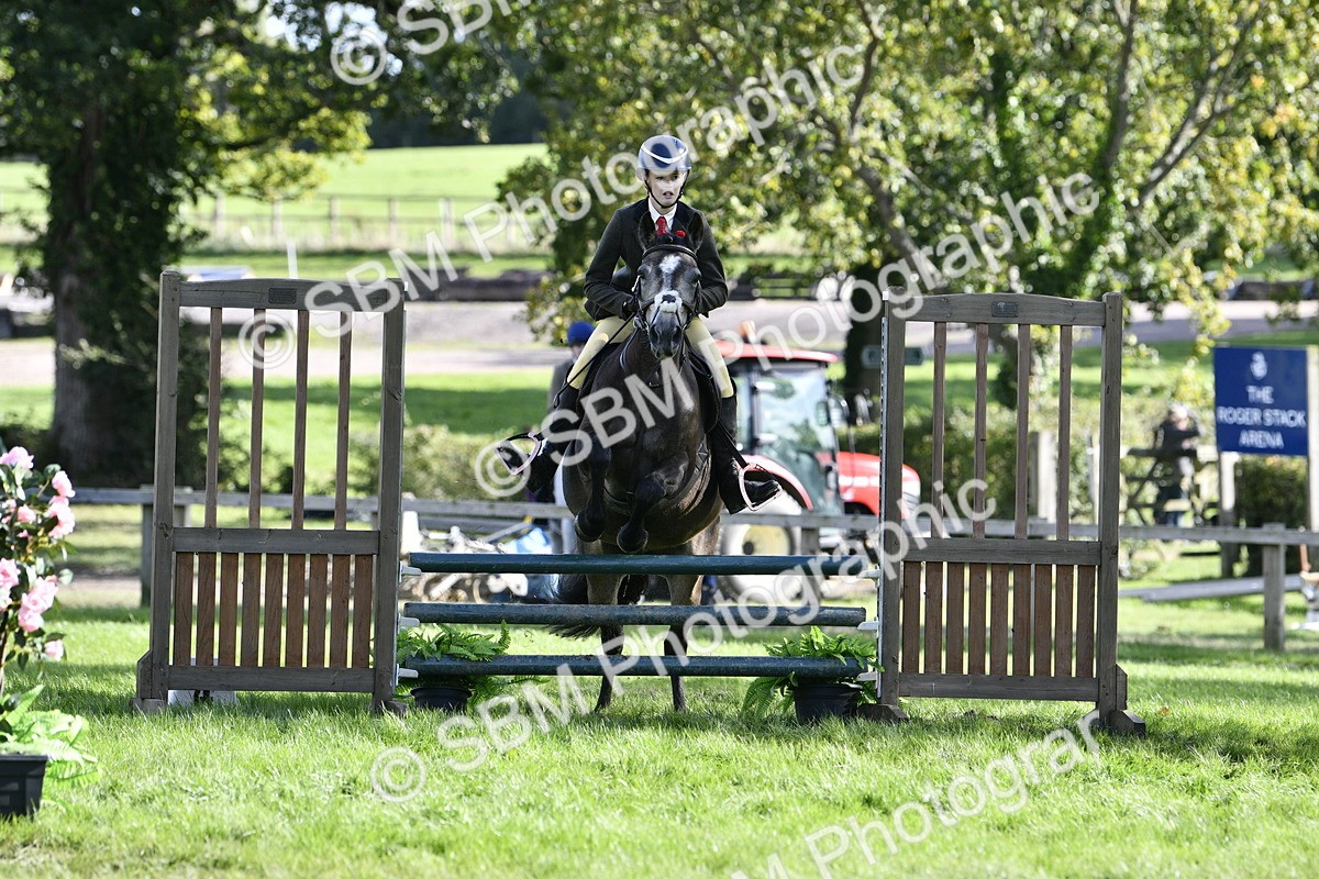 SBM_49984 - S34 - Novice & Newcomers Working Hunter