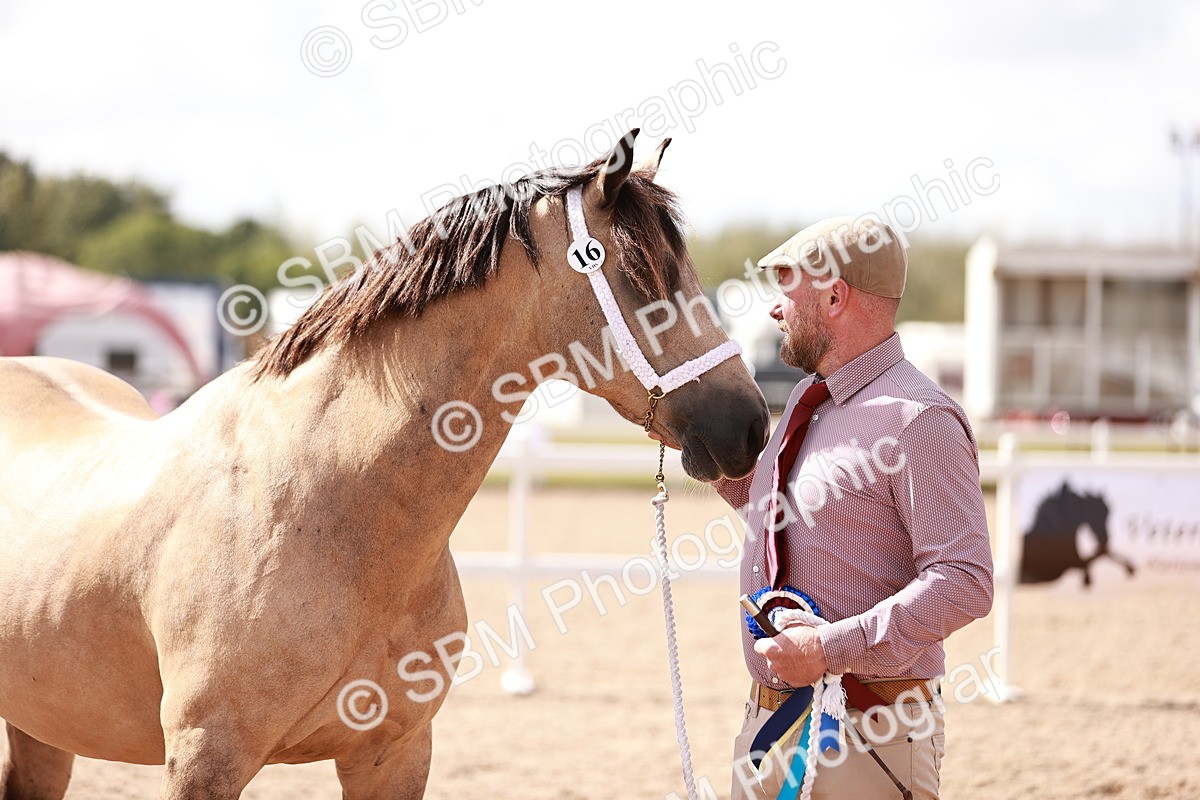 SBM_23017 - Class 707 - IH groom Helpers Class