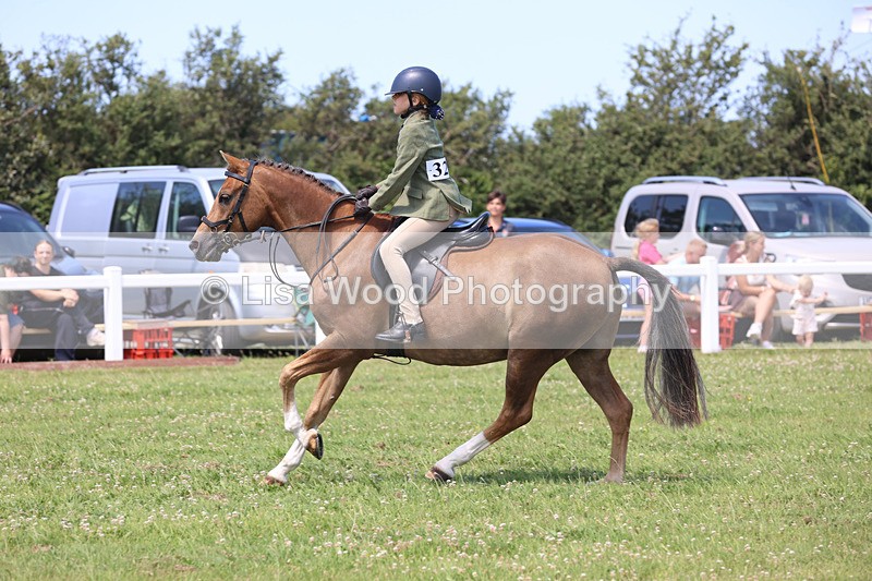 JPP_2667 - Class 21: Working Hunter 60cm