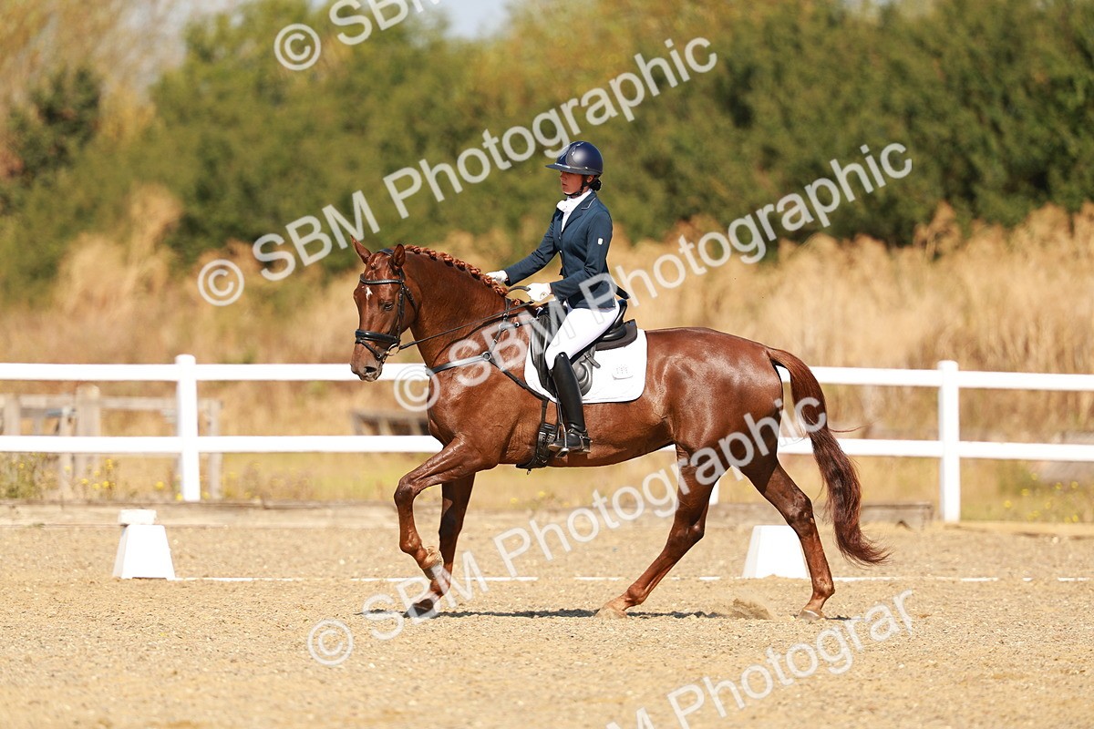 SBM_017538 - Class 9 - N5 Bronze 10.33.11.36