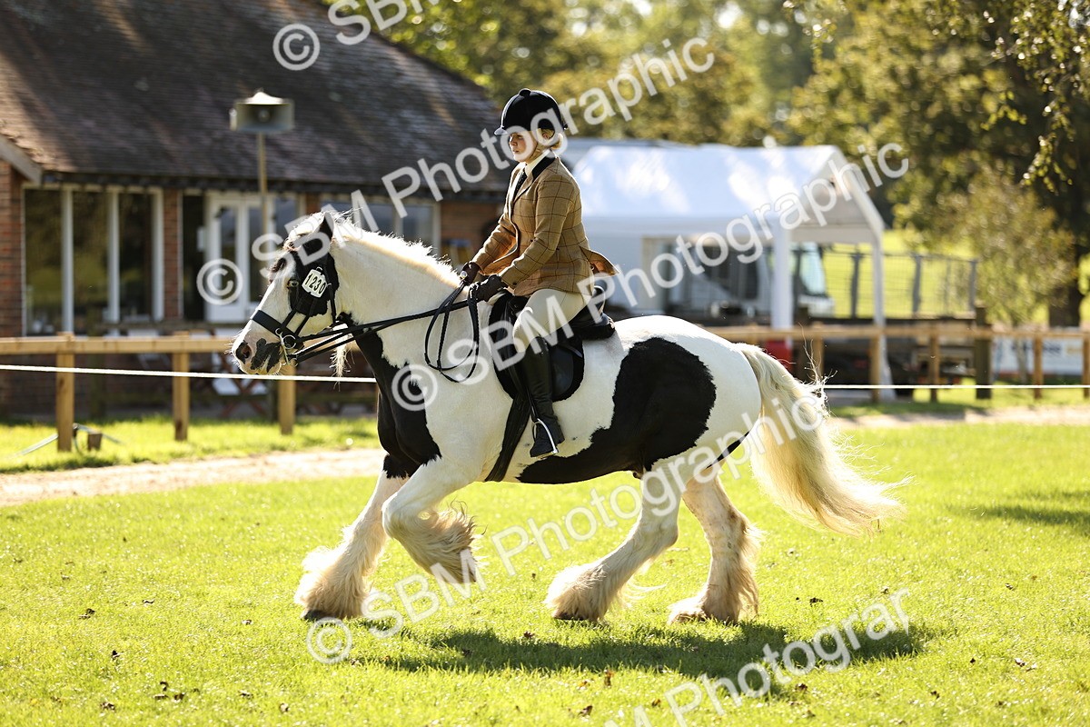 SBM_19148 - S3 - TSR Ridden Pony Showing