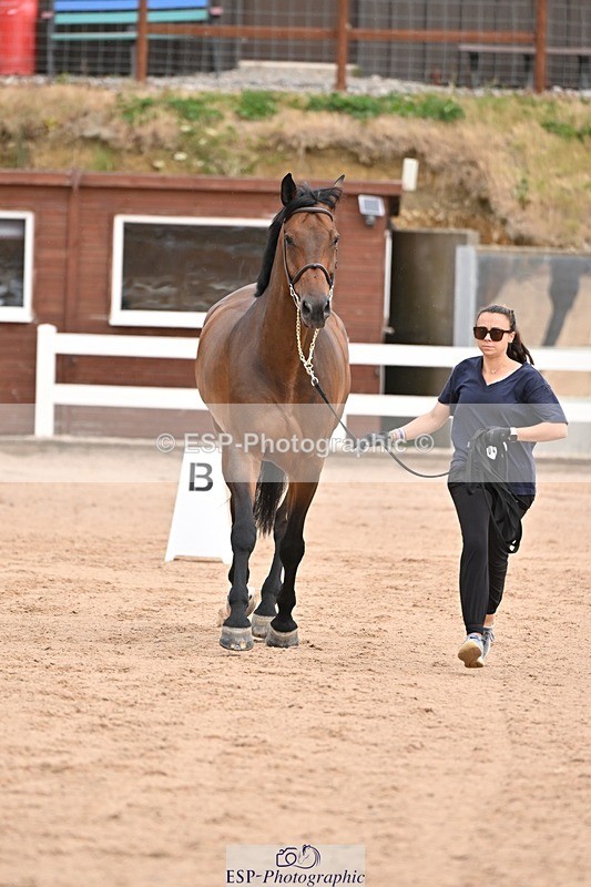 250716-151225-01759 - Trot Up 2.30 to 3.30