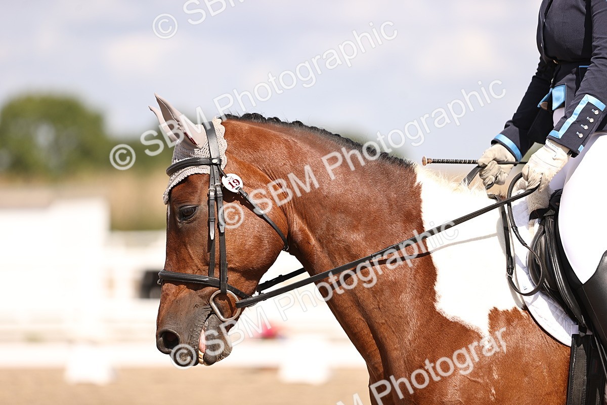 SBM_03712 - CLass 35 Intro 3