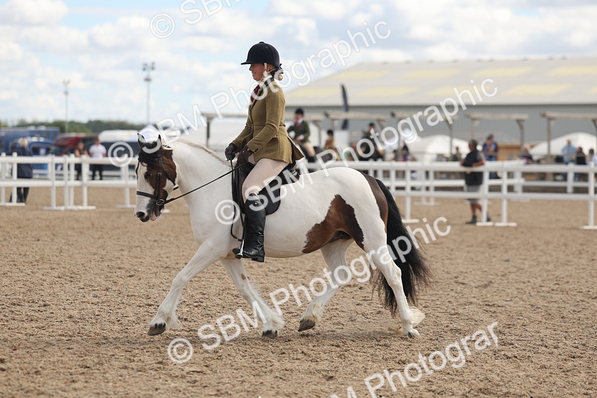 SBM_14654 - Class 307 - Ridden Coloured Pony
