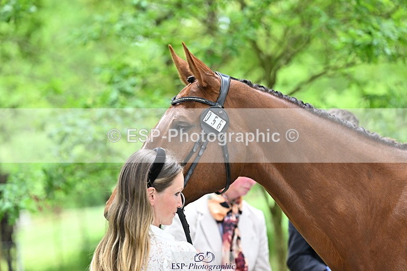 250521A-144615-00224 - A-056-Ivy.Fisher-BALIEF.DE.REVE