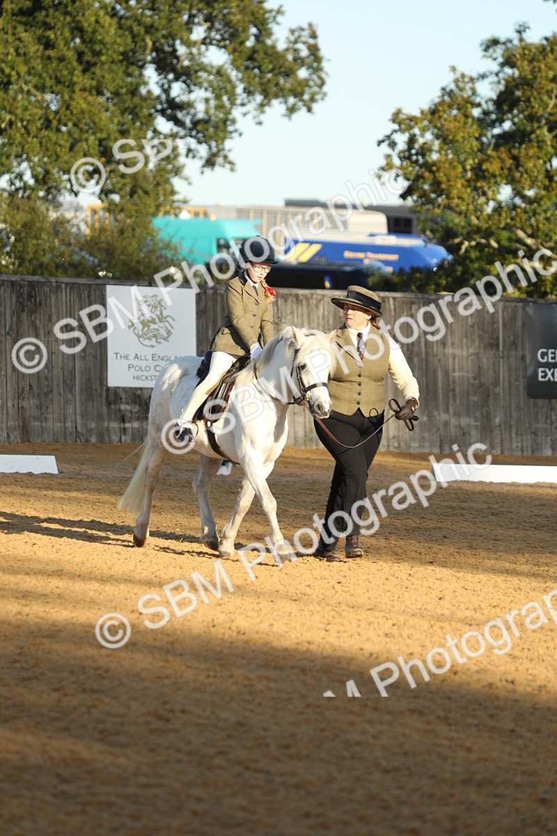 SBM_33580 - D26 - Starers - Lead Rein