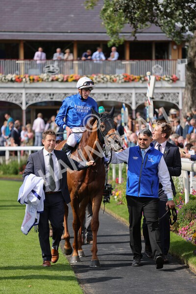 yr18082021r3-88 - Race 3 3.00pm Sky Bet Great Voltigeur Stakes