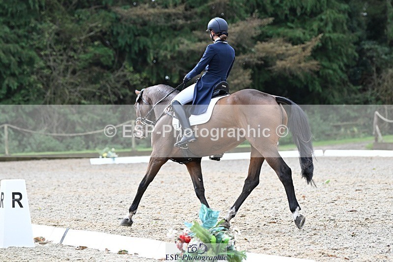 231019-122147-02736 - 044-COOLEY.ON.THE.CARDS-Charlotte.Cooke-DR