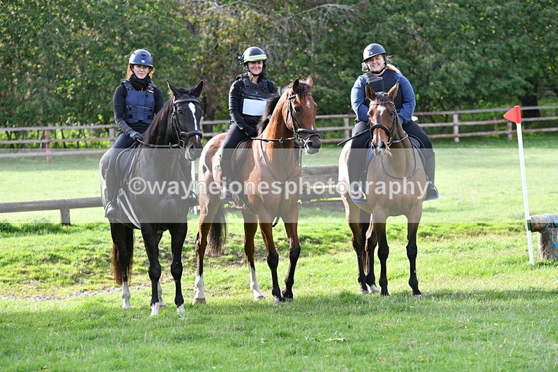 WJ5_1135 - Time 14:29 to 15:31