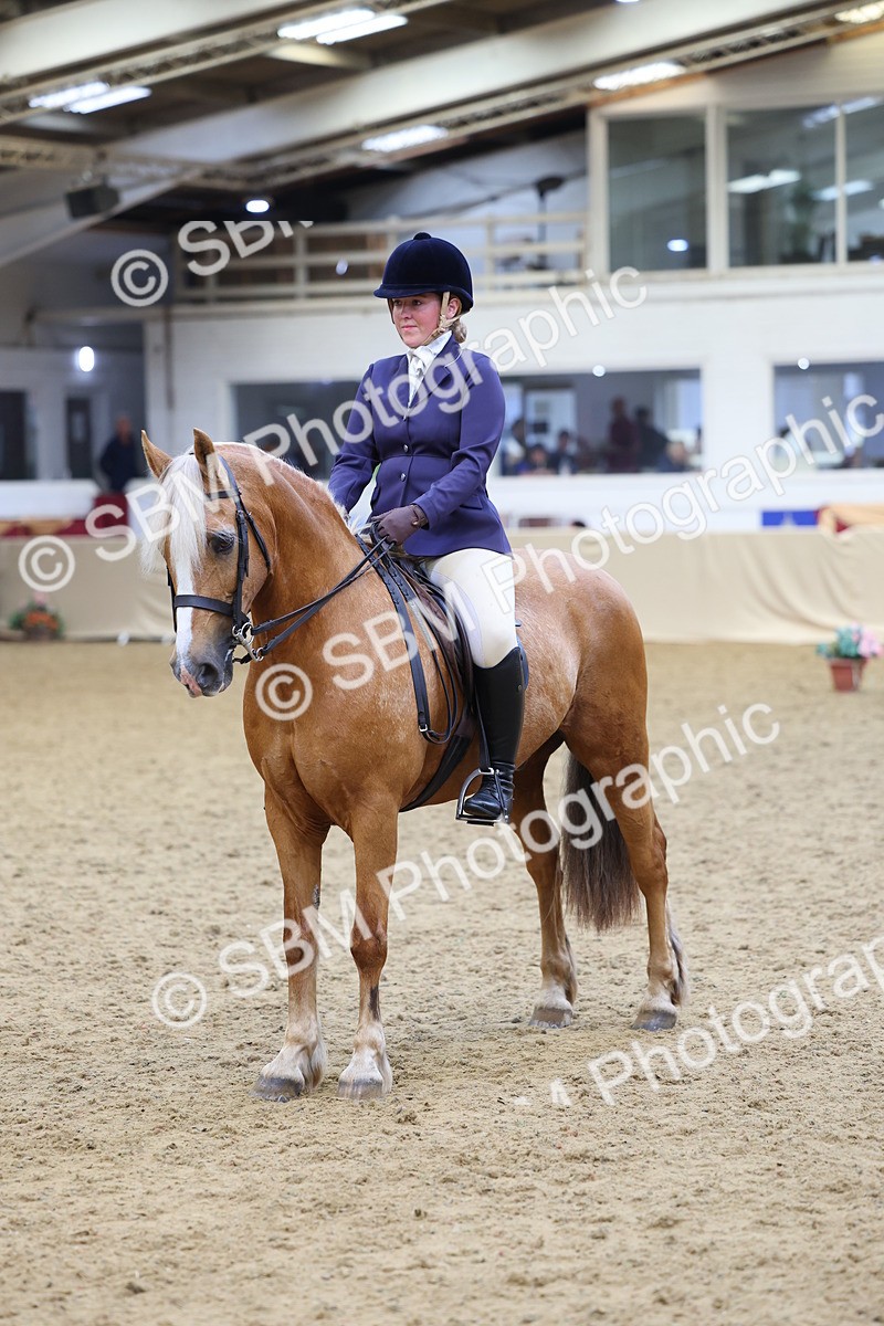 SBM_23549 - Class 904 - Supreme Final Ridden Diamond