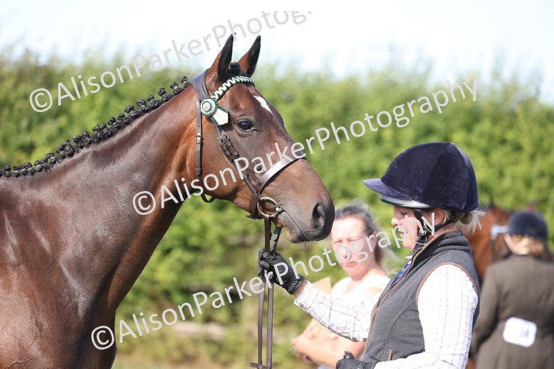 20260906-0679 - Class 22 - Ex Racehorse