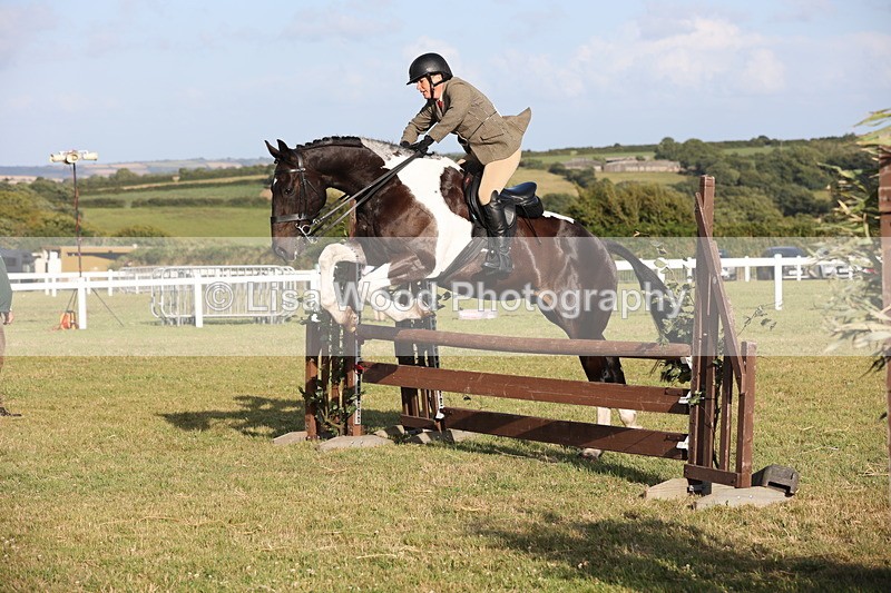 JPP_3455 - Class 22: Working Hunter 90cm