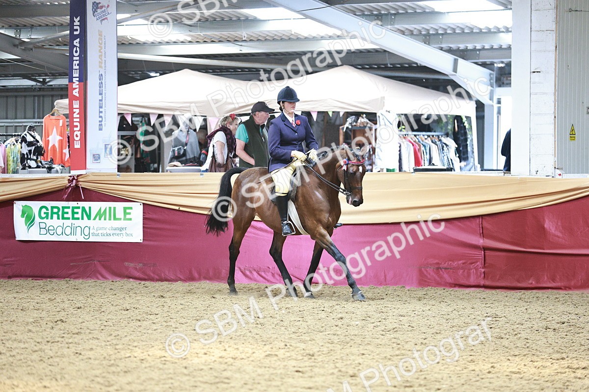 SBM_08271 - Class 11R - Regional Ridden Veteran