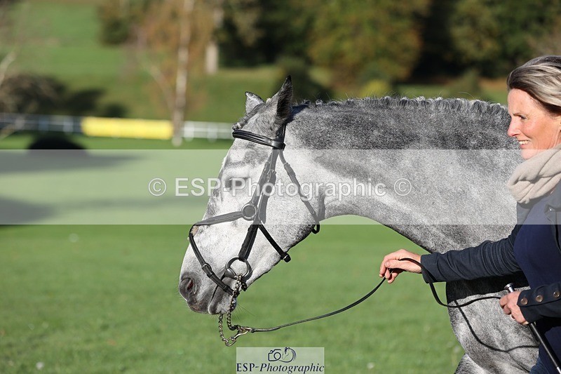 241027-091718-15186 - 320-Alice.Tollworthy-OUR.DOLPHIN.STAR