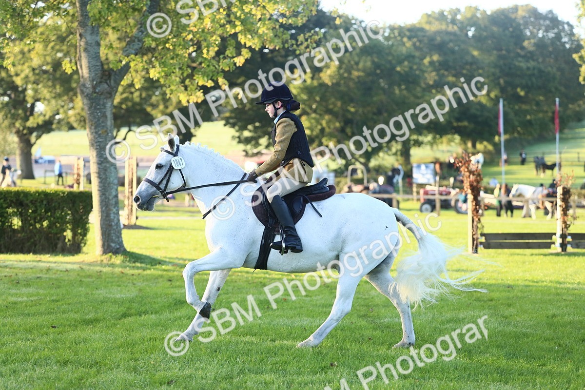 SBM_31716 - S28 - Nursery Stakes Working Hunter Pony