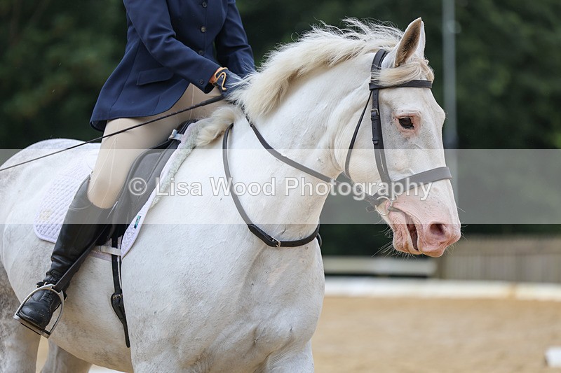 3E7A9322 - Class 4: Prelim 3 2024 - Section B