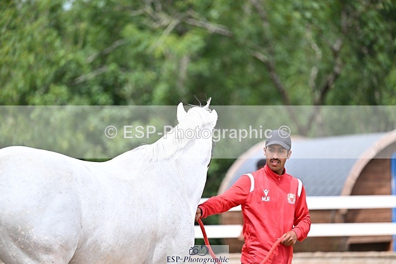 250716-132517-00501 - Trot Up 12.30 to 1.30