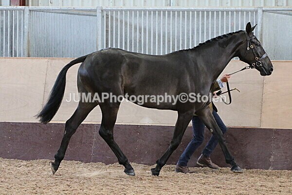 SIAL9302 - Indoor Classes