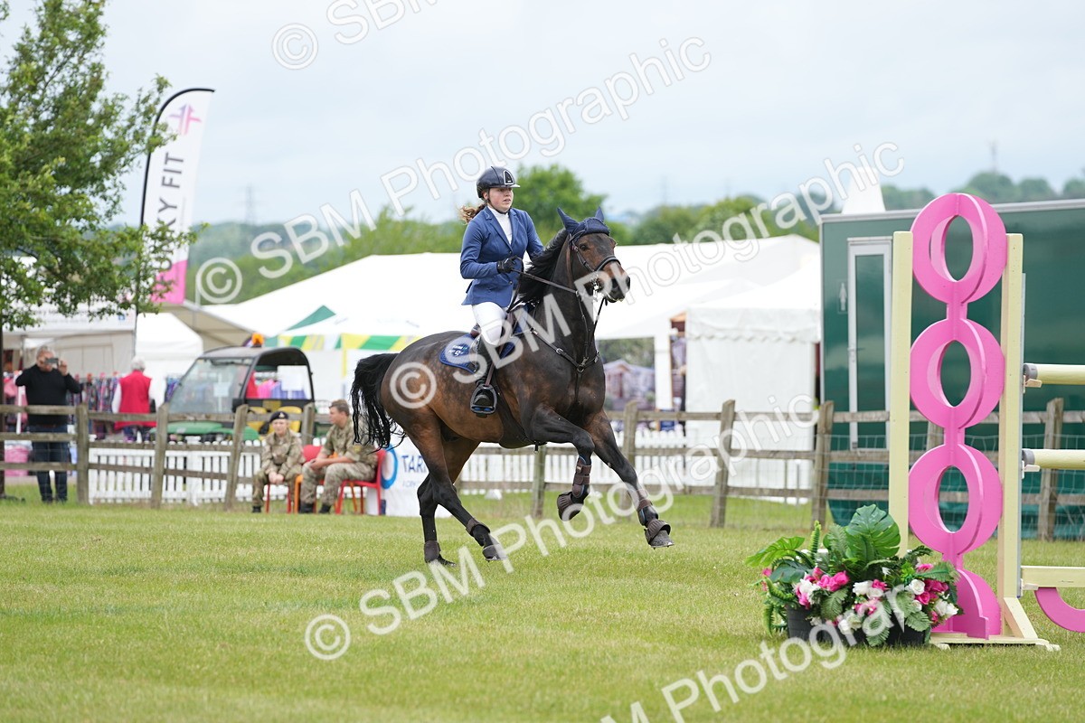 SBM_03047 - Class 201 - British Horse Feeds Speedi Beet Horse of the Year Show Grade  C