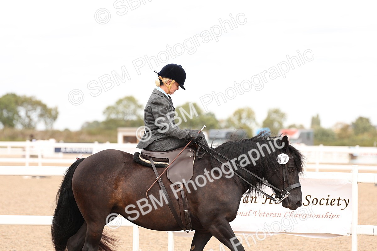 SBM_16385 - Class 211 - Best Side Saddle Horse - Pony