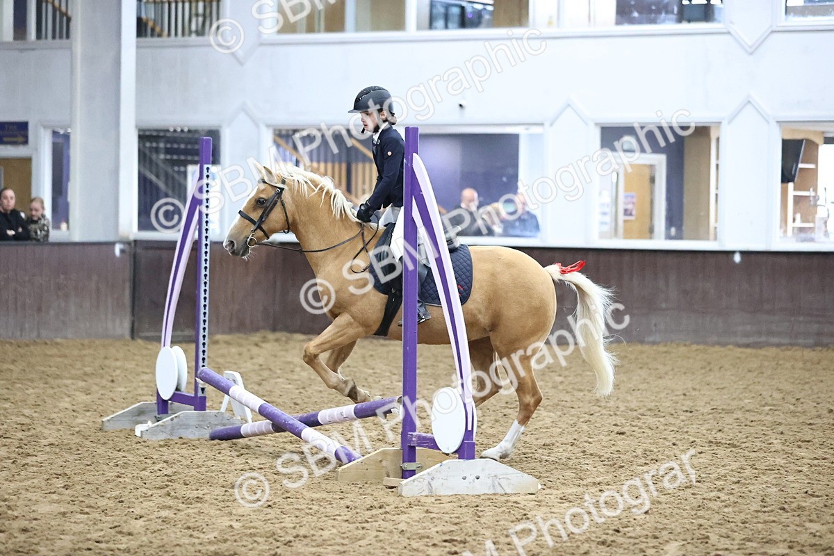 SBM_000103 - Class 2 - The Rug Lady 40cm Area 12 Championship Qualifier