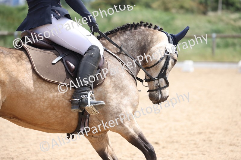 20250614-0996 - Class 5 - Novice 3