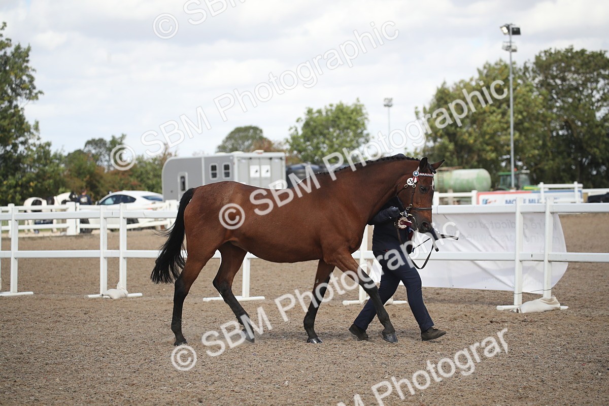SBM_23502 - Class 604 - 2026 - Area IH Diamond