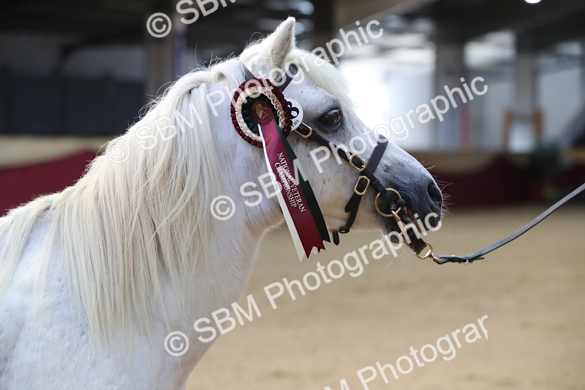SBM_00339 - Class 1a - Area IH Diamond