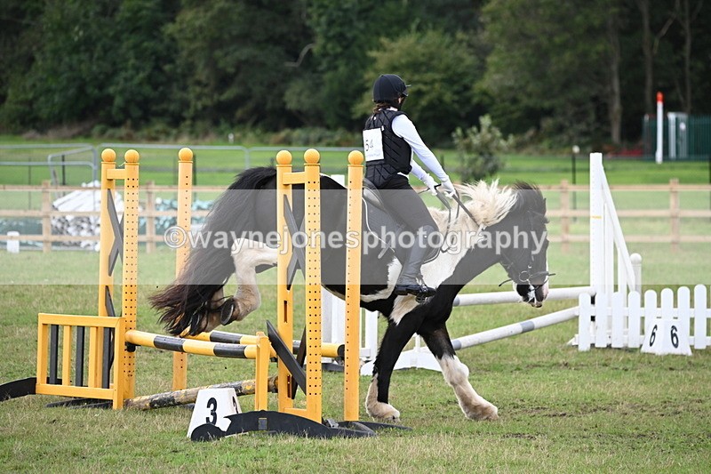 WJ6_1472 - 60cm Time 11:51 to 12:10