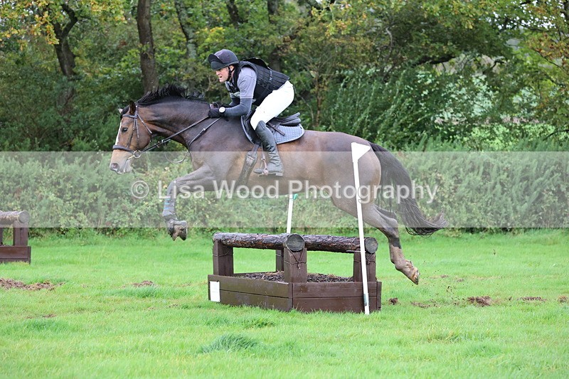 JPP_5452 - Class 4: 80cm: Crossed Logs