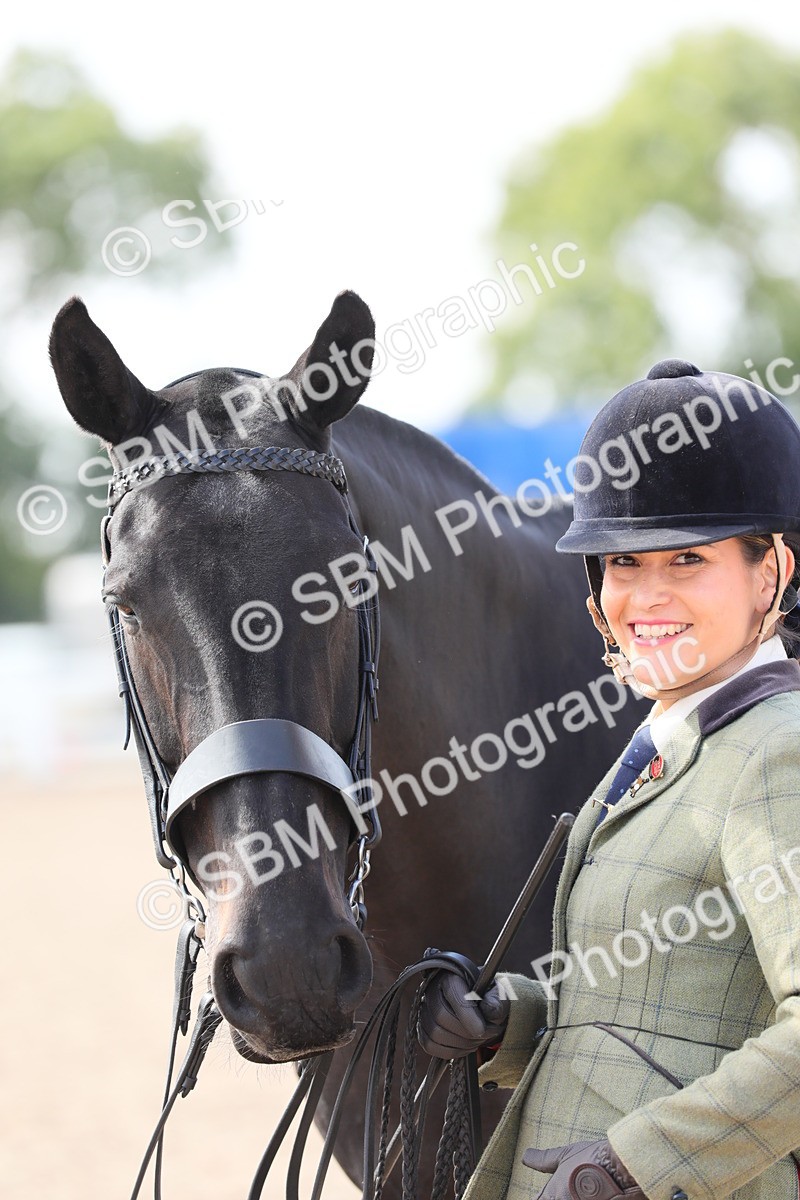 SBM_15747 - Class 312 IH Competition Horse/Pony